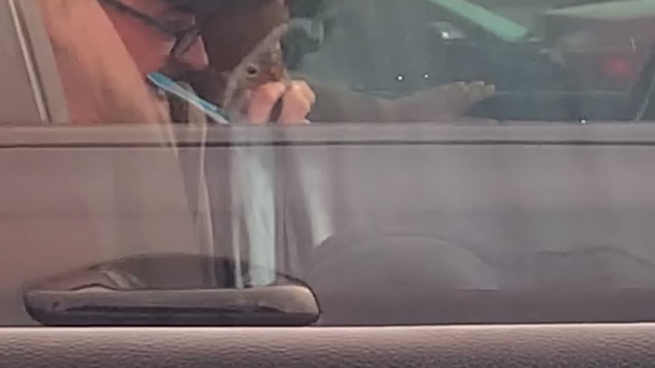 Man Snuggles Pet Squirrel at Stoplight