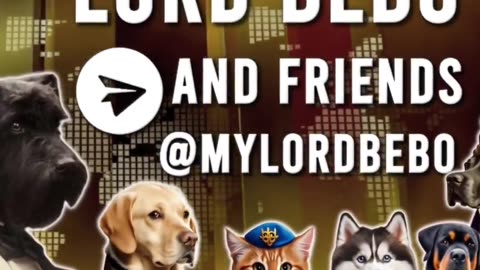 Ukraine Russia conflict /SMO/war combat footage 11/4/2025