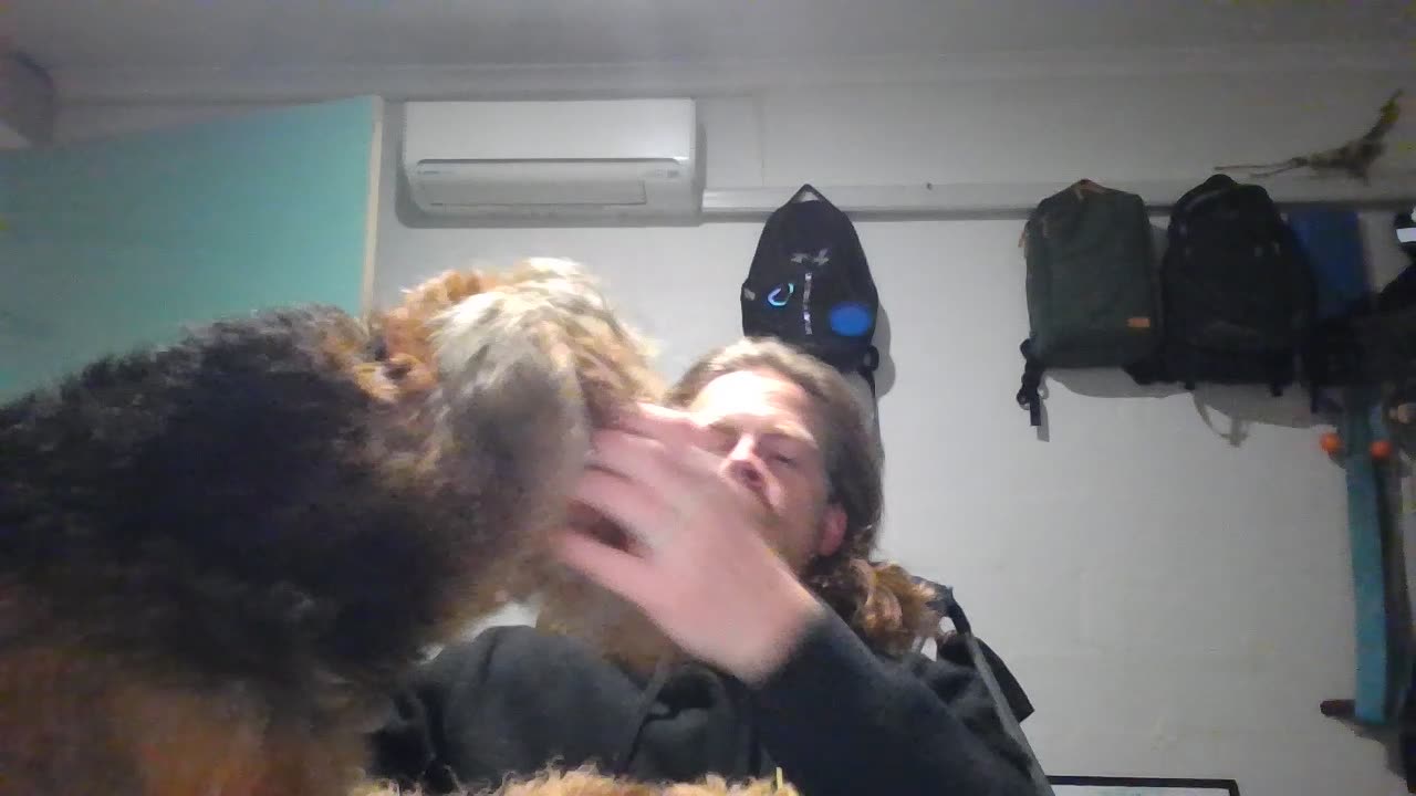 Day 84 - Another investor connection and the start of an interesting plan