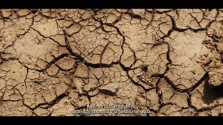 LDT 07/07/2025