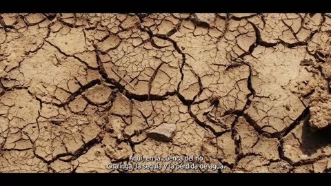 LDT 07/07/2025