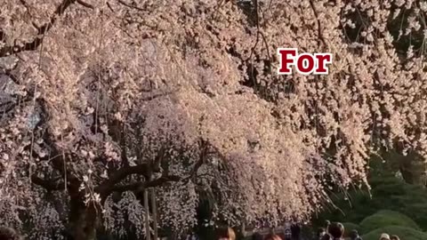 Best Travel Agency in Hisar