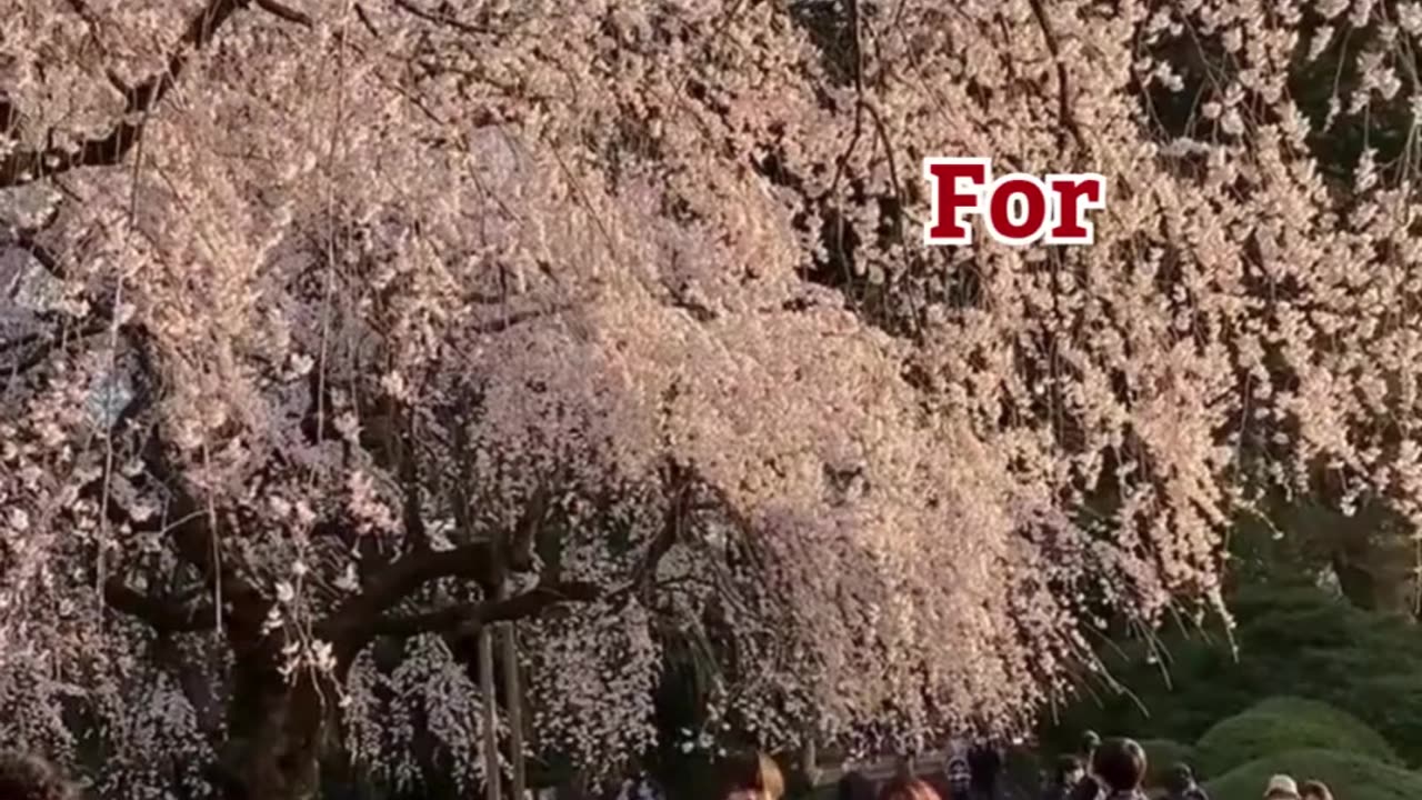 Best Travel Agency in Hisar