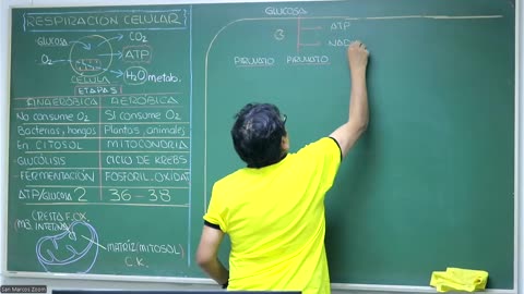 VONEX REPASO 2025 - 1 | Semana 02 | Biología S2