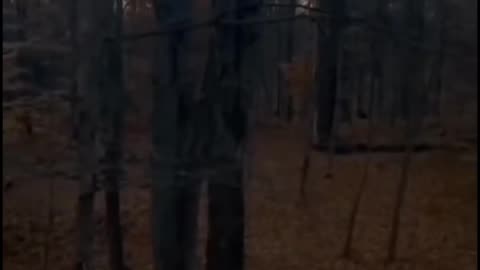 😱👻 3 Videos of Scary Sounds That Will Give You Chills | TheHauntingHour