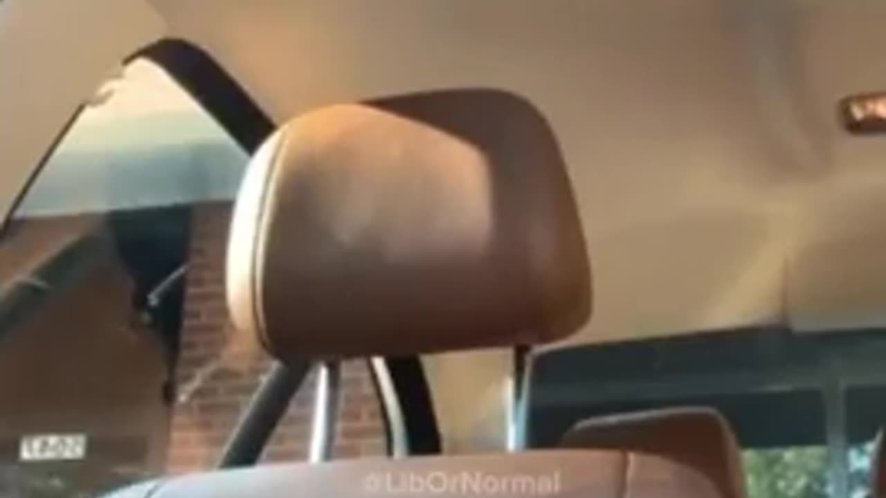 dumbass nigger Is Shot And Killed On Facebook Live-Stream For His Gold Chain In Chicago