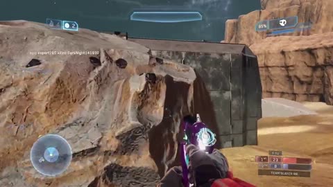 Halo Live Stream