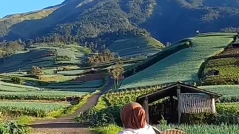 Pesona alam