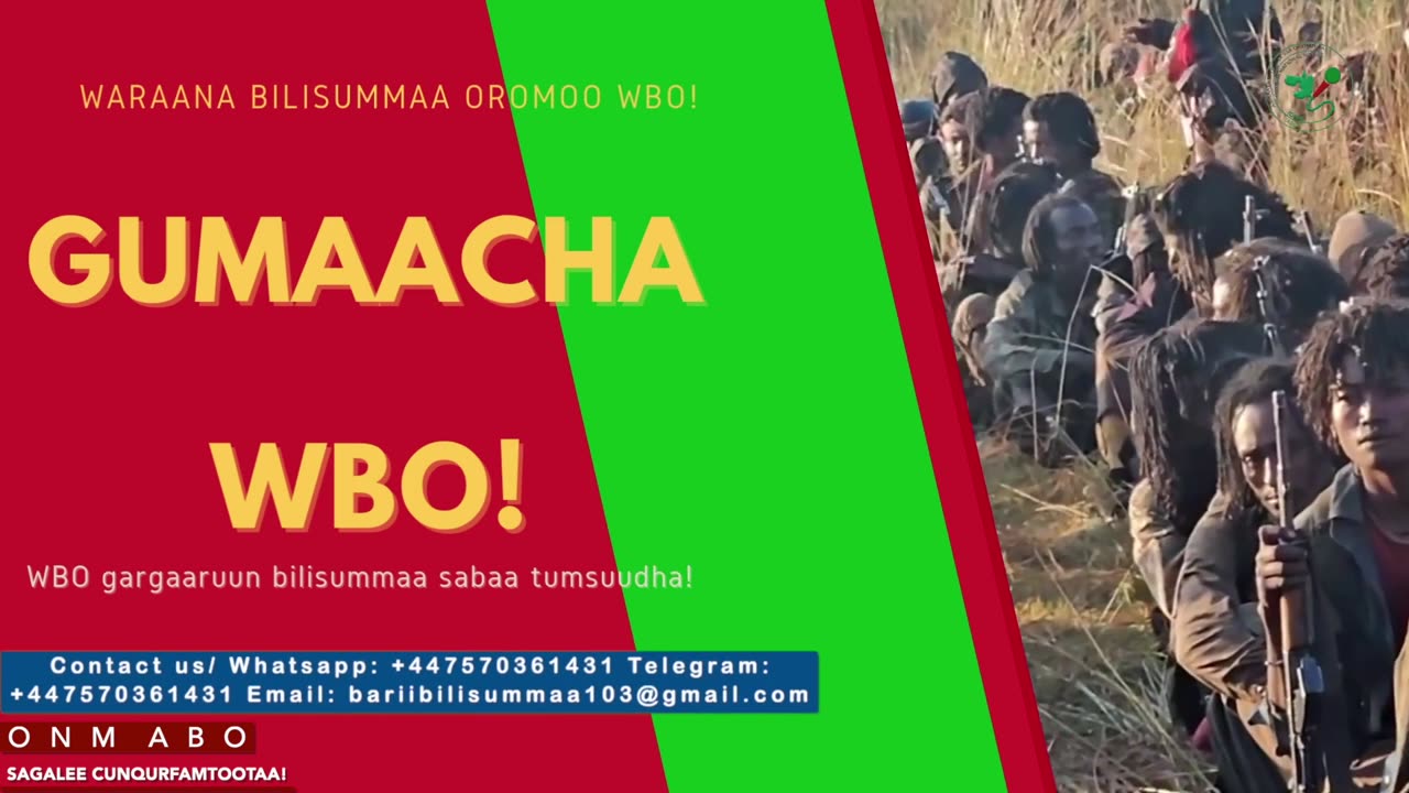 Gabaasa Gumaacha ONM-ABO Adoolessa 7-2025 itti dhiyaadhaa!