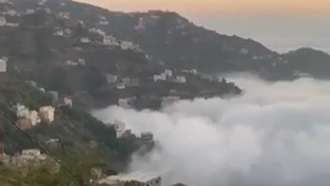 nature