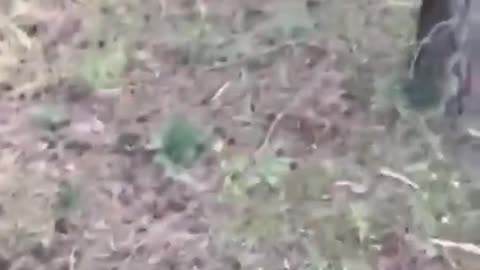 Ukrainian Soldiers Discover Wounded Russian Soldiers Left by the Roadside