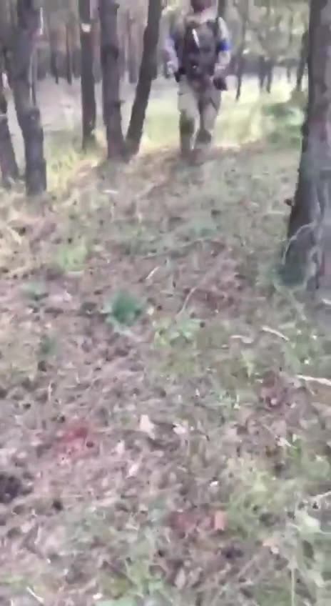 Ukrainian Soldiers Discover Wounded Russian Soldiers Left by the Roadside