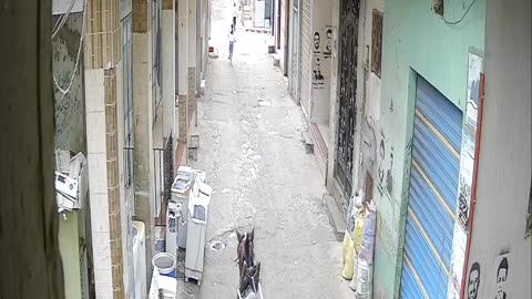 Camera1_elsayed_elsayed_20250203140200_20250203153037_2953967