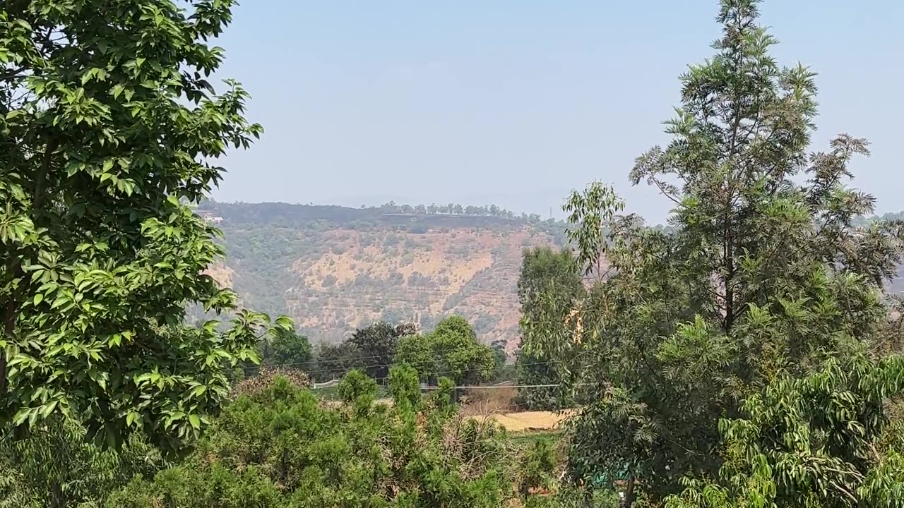 Balcony view of Jeevan Village resort