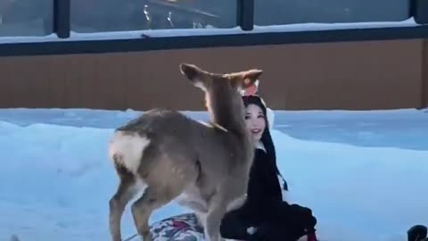 Deer enjoys dubstep music in a Fun🦌☁️