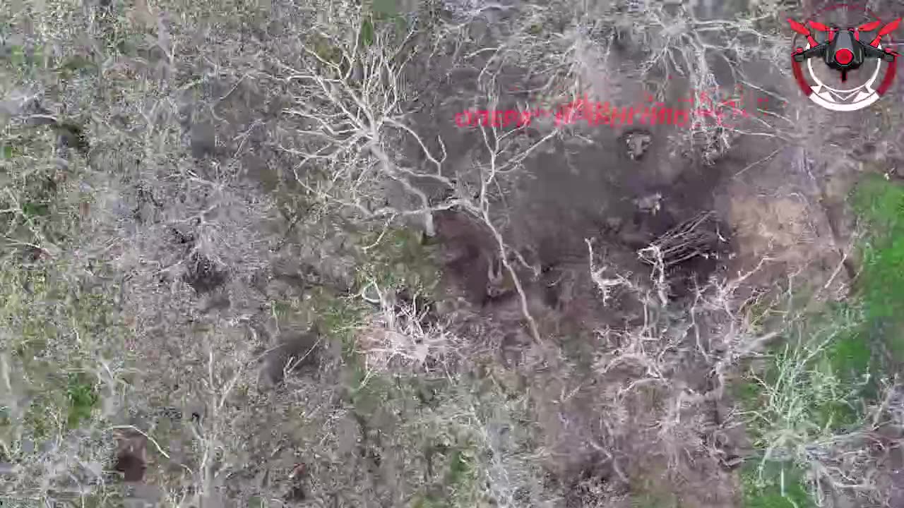 Warning! Wounded Mercenary Took His Own Life