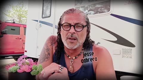 Narcissist Chronicles