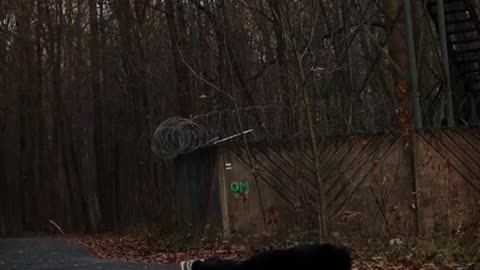 Consistency always wins. #discipline #motivation