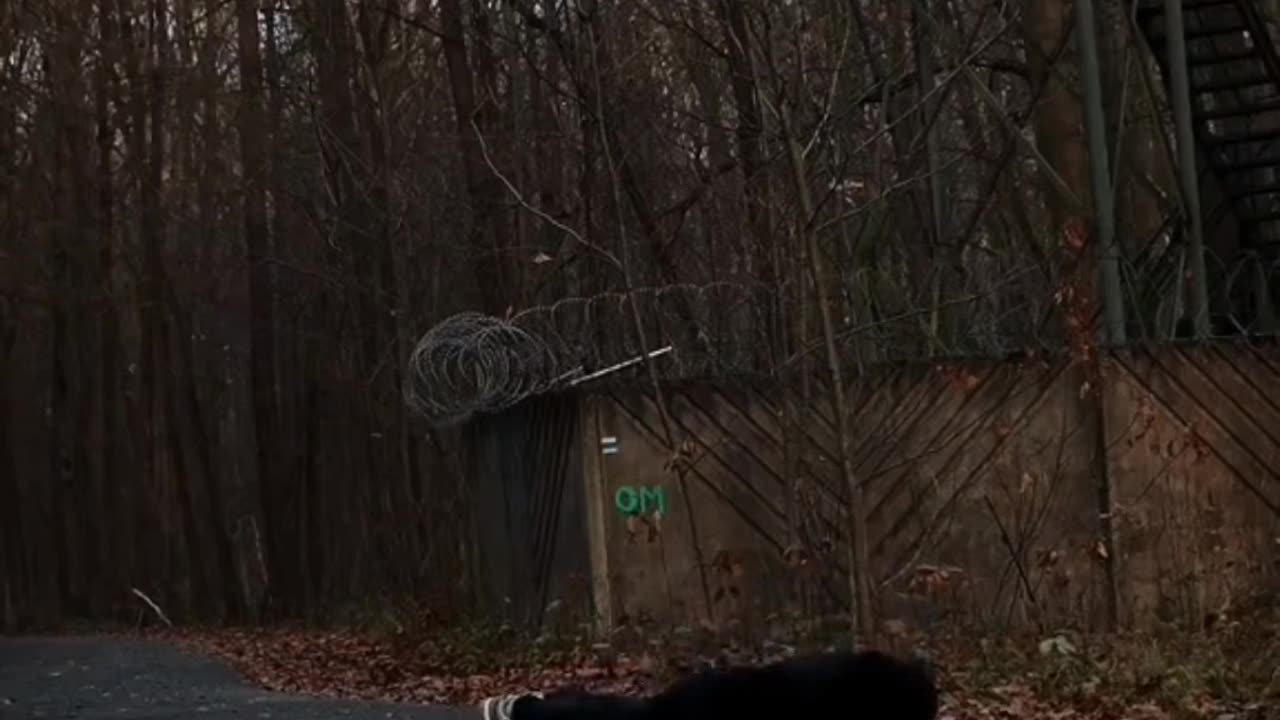 Consistency always wins. #discipline #motivation