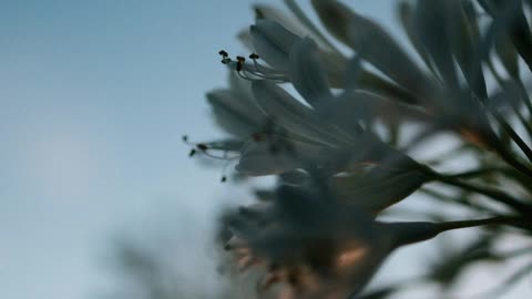 A softness and a give