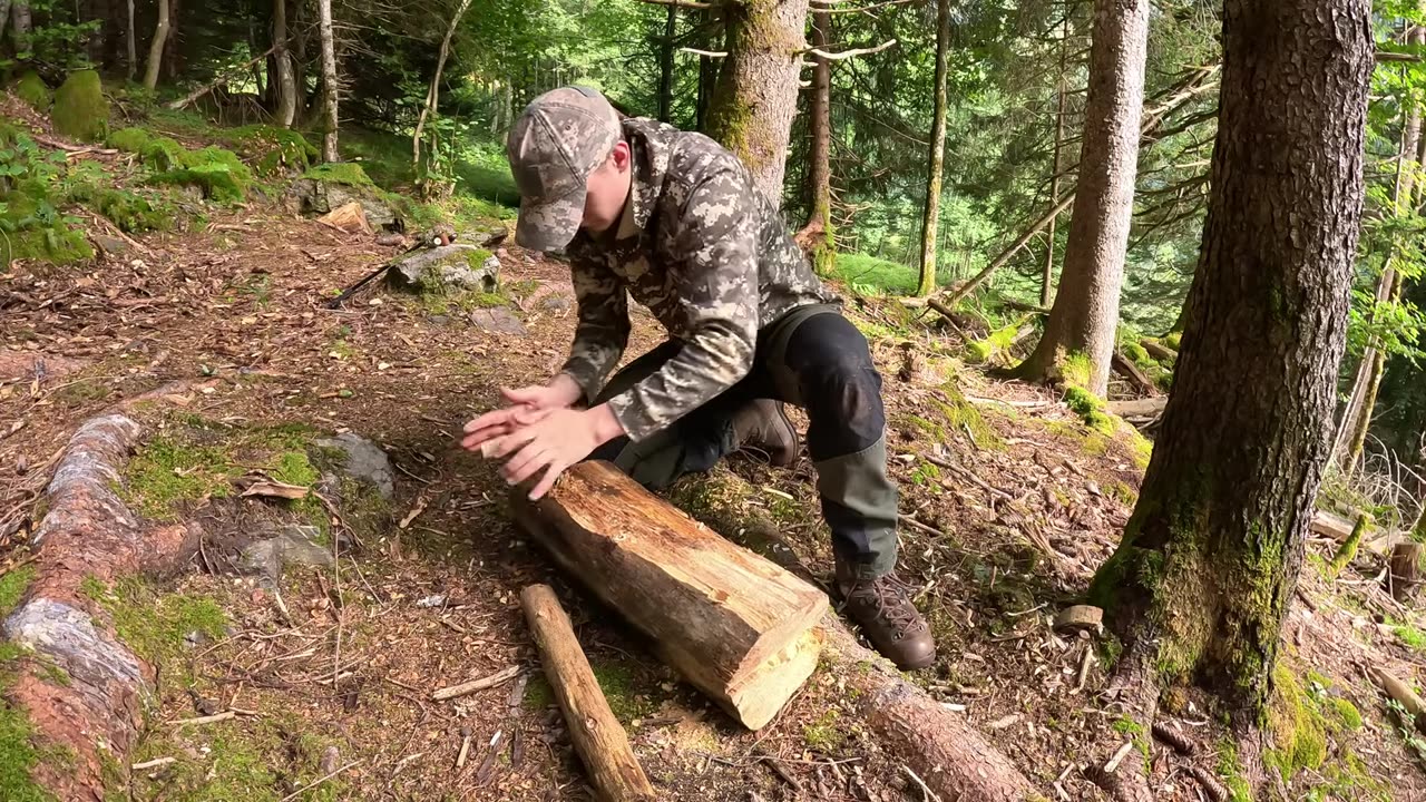 2 Days in a Remote Forest Cabin- Catch & Cook - Foraging - and Bushcraft