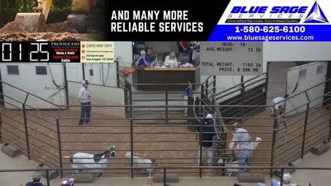 5/6/2025 - Sheep & Goat Auction - Producers Livestock Auction Company