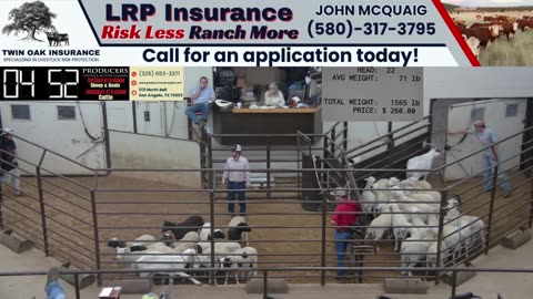 5/6/2025 - Sheep & Goat Auction - Producers Livestock Auction Company