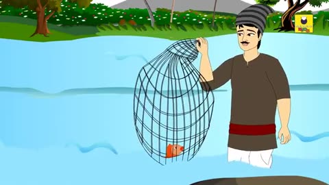 Claver fish