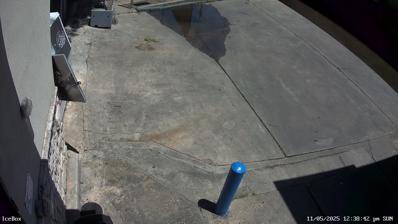 thats my ice