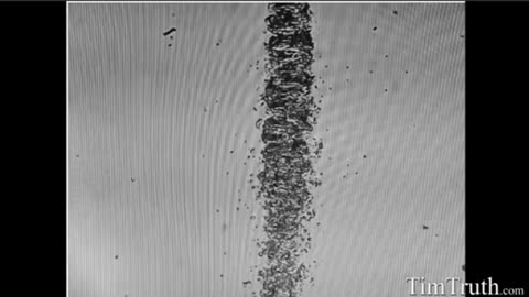 Covid swabs, broken nylon fibers, and patented darpa hydrogel. A genocide too