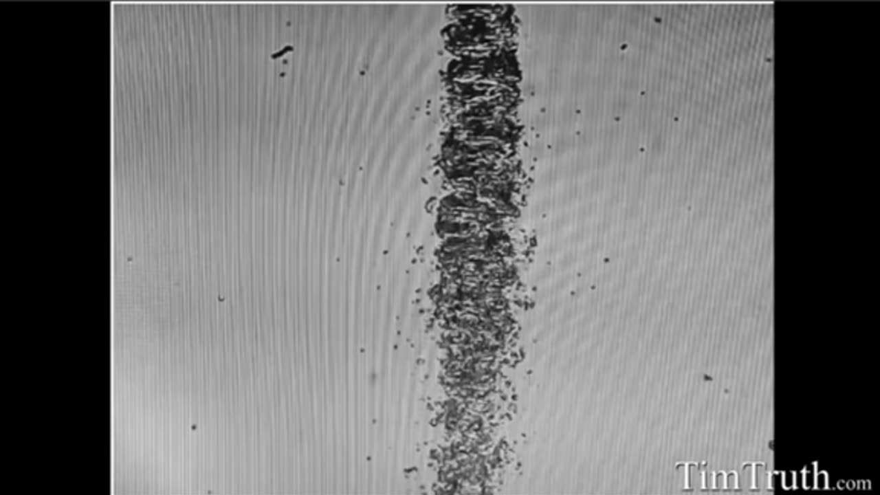 Covid swabs, broken nylon fibers, and patented darpa hydrogel. A genocide too