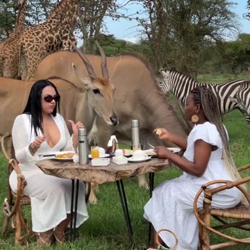 Breakfast in the Wild! A Once-in-a-Lifetime Experience with African Wildlife