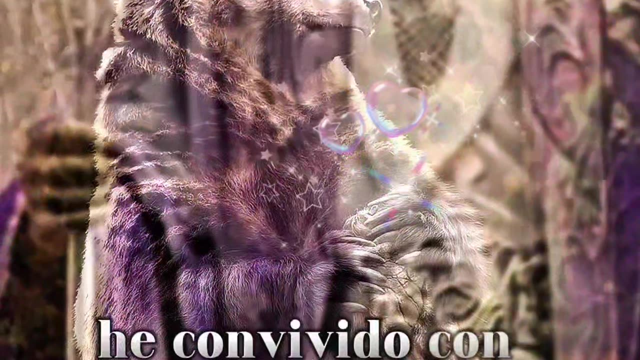 REFLEXIONES 💫 🤍 💫 🤍 💫 🤍