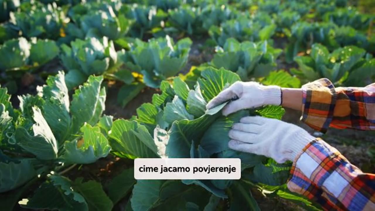 Eko Certifikat Garancije Kvalitetu U Prirodnom Uzgoju U Hrvatskoj