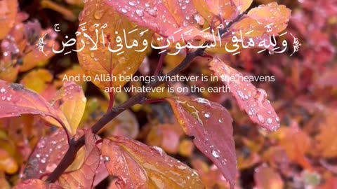 🔥Surah An-Nisā’ 4:132-133 سورة النساء⚡🌌 #Quran #shorts #viral #trending #love #youtubeshorts