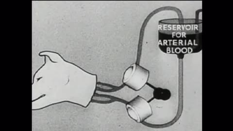 Dissident Evil: Enemy Within, The Original Psychopolitical Sin (a short concept-film by radi0sack)