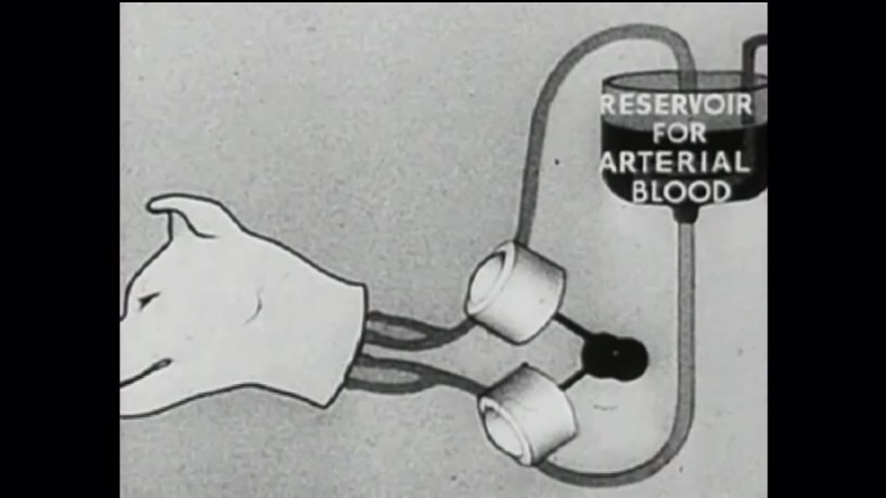 Dissident Evil: Enemy Within, The Original Psychopolitical Sin (a short concept-film by radi0sack)