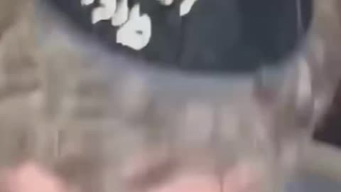 Javier Milei llora en el Muro de los Lamentos en Israel