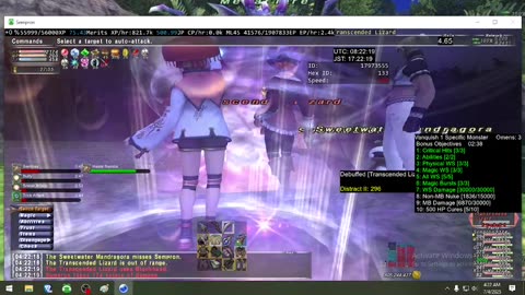 Playing Final Fantasy XI Online