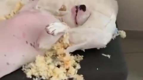 Satisfied