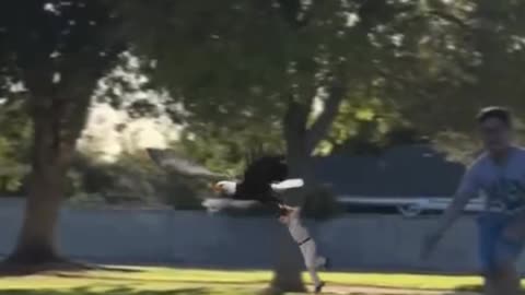 Eagle Attacks Boy in Tehran 😳🥲