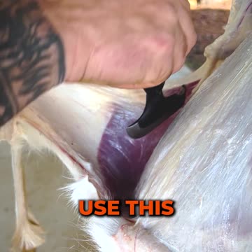 Old School Multi Tool