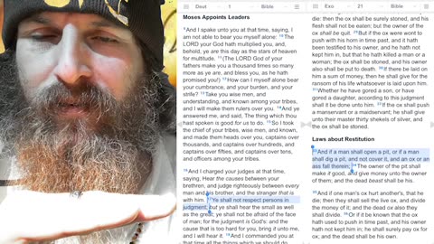 (Pt 3) Yah God’s Eternal Law/Commandments/Statutes/Precepts/Judgments/Testimonies/Ordinance; Difference / Comparison