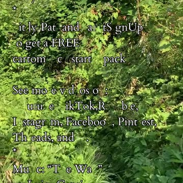 Awaken Your Whole Self | Path and Tarot Reading