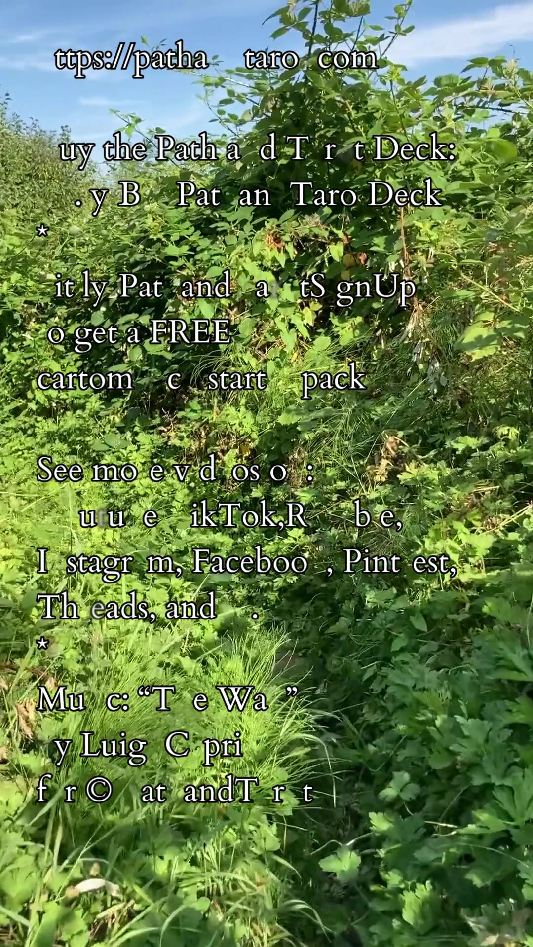 Awaken Your Whole Self | Path and Tarot Reading