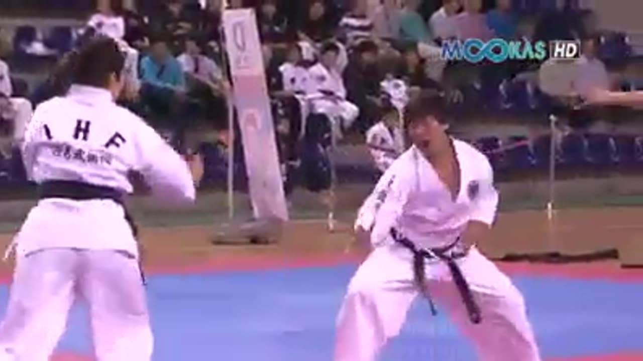 Hapkido