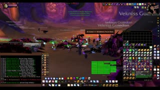 Turtle Wow - MM weekly AQ40 - 1 July - paladin POV