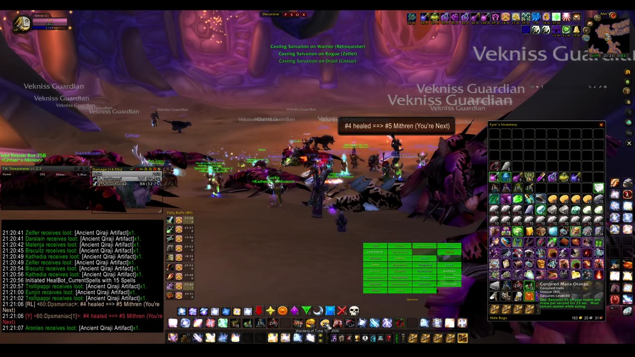 Turtle Wow - MM weekly AQ40 - 1 July - paladin POV
