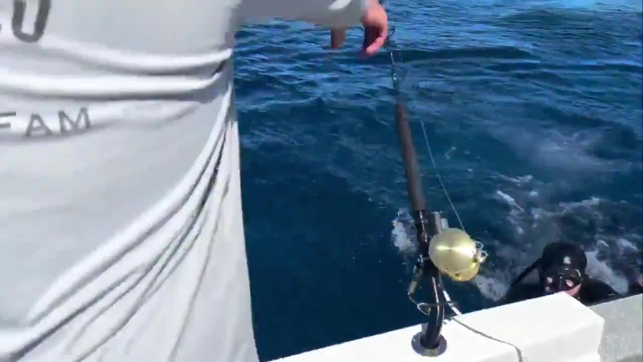 Big catch Off the coast of Australia, a group of men in a boat were looking for fish