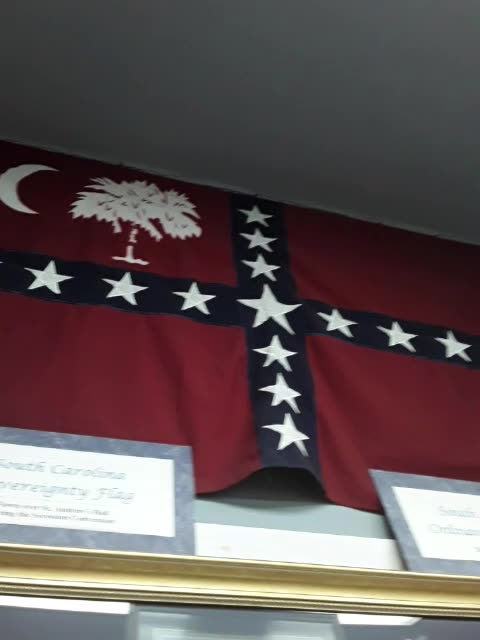 S.C. Sovereignty Flag